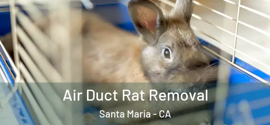 Air Duct Rat Removal Santa Maria - CA