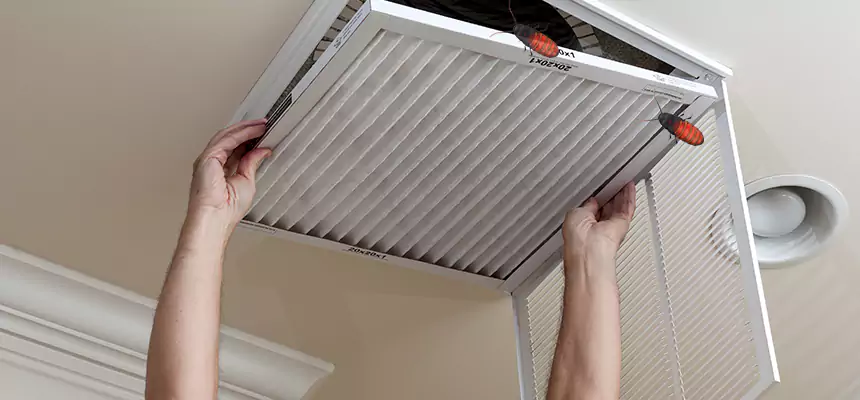 Preventive Cockroach-Proofing for Ducts in Santa Maria