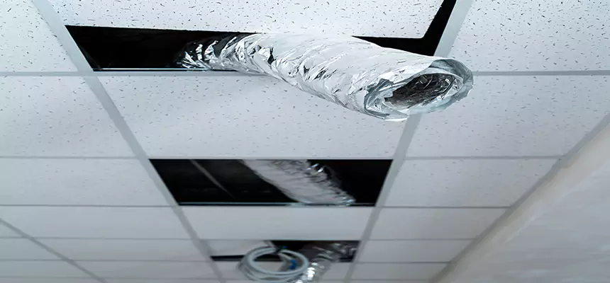 Our Air Duct Pet Hair Removal Services in Santa Maria, CA