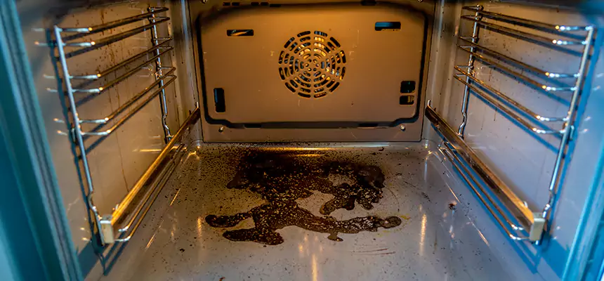 Our Dryer Vent Mold Cleaning Services in Santa Maria, CA