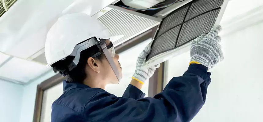 Our Mold & Mildew Removal from Air Ducts Services in Santa Maria, CA