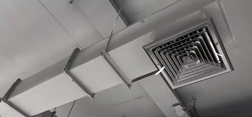 Our Rodent Droppings In Vents Services in Santa Maria, CA