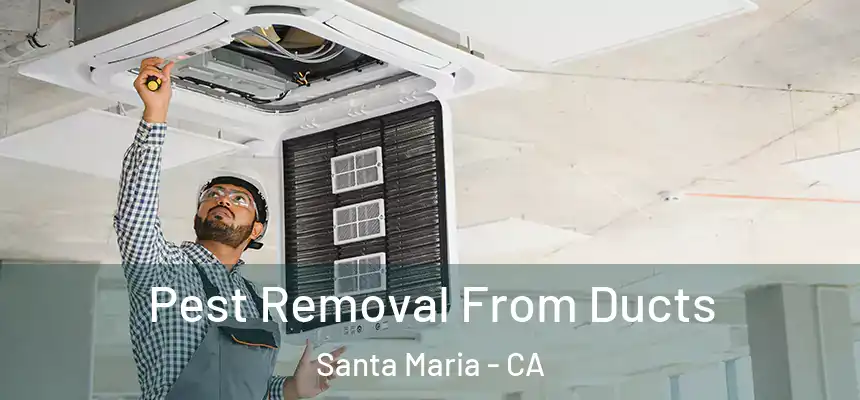 Pest Removal From Ducts Santa Maria - CA