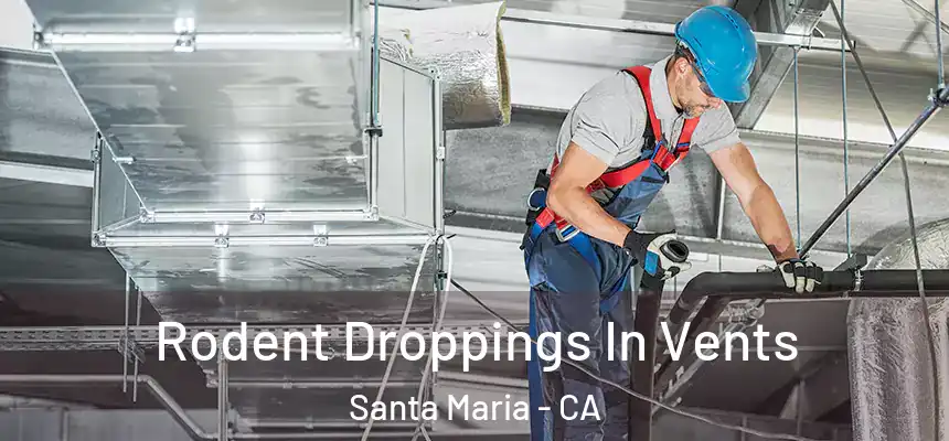 Rodent Droppings In Vents Santa Maria - CA