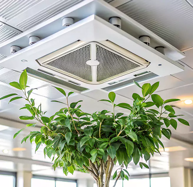 Why Homeowners & Businesses Trust Us in Santa Maria, CA