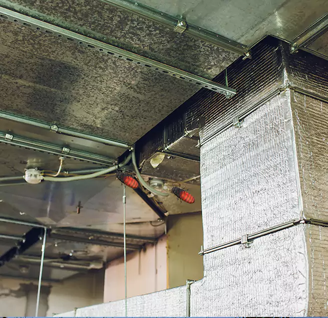 Why Homeowners & Businesses Trust Us Santa Maria, CA?